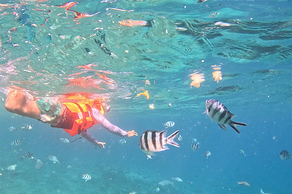 Balade et snorkeling - Sea Serenity