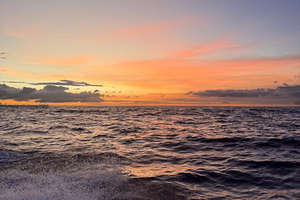 ART-Excursions-coucher-soleil-NP