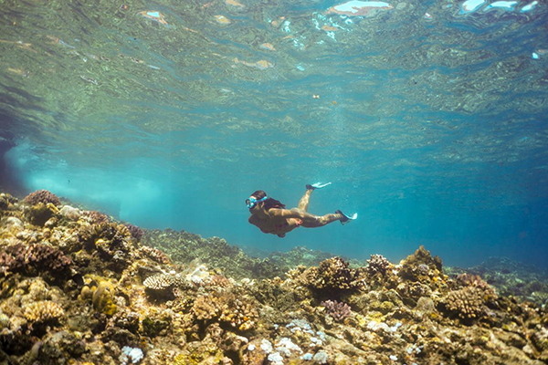 ART-Balade-snorkeling-2